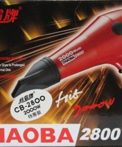Best Chaoba Hair Dryer 2800