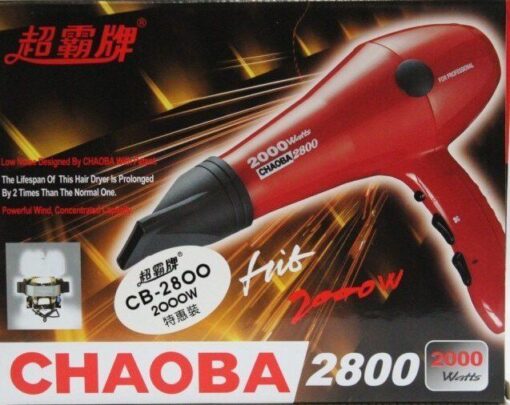 Best Chaoba Hair Dryer 2800